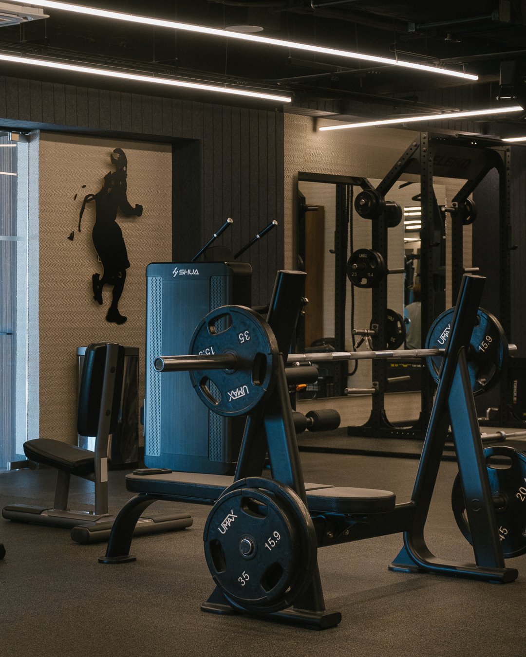 Gimnasio equipado de ALBALUZ